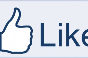 2000 Facebook Likes Giveaway at pinkcakeplate.com