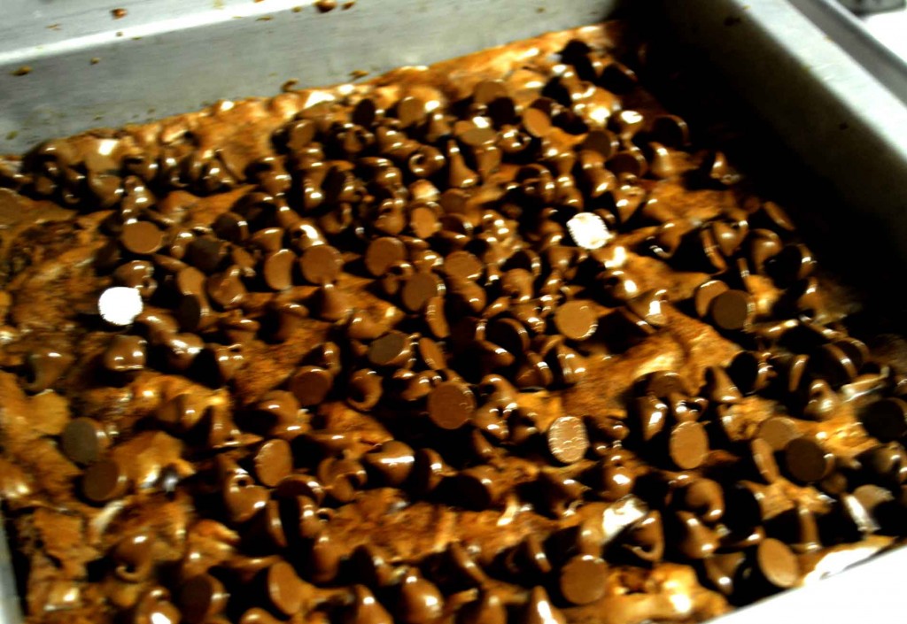 Shiny Chocolate Chips for Samoa Cookie Brownies @ pinkcakeplate.com