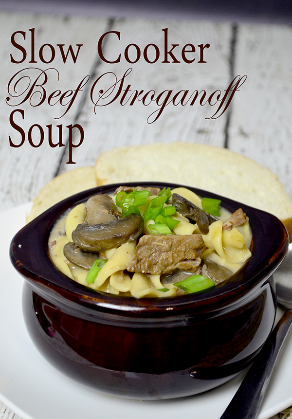 slow cooker beef stroganoff soup