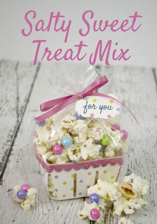 salty sweet treat mix hero