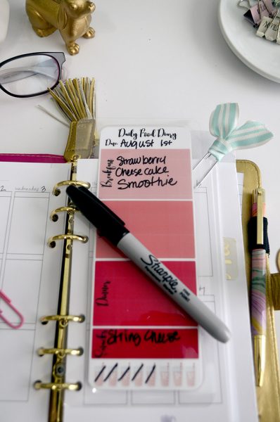 food diary planner insert e