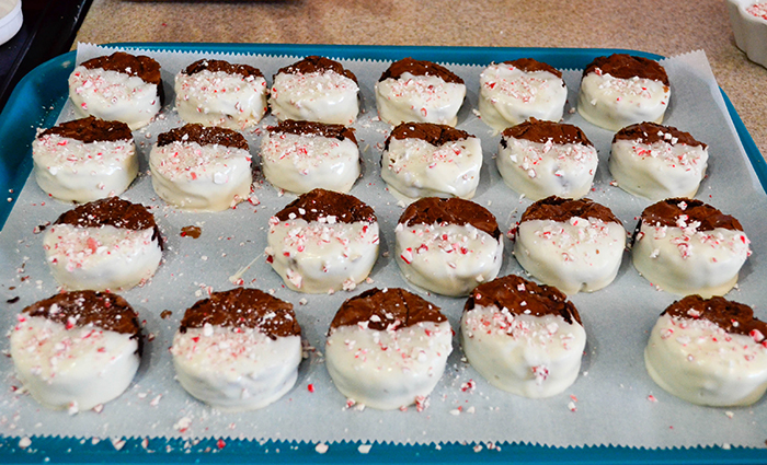 black-and-white-peppermint-brownies-dipped